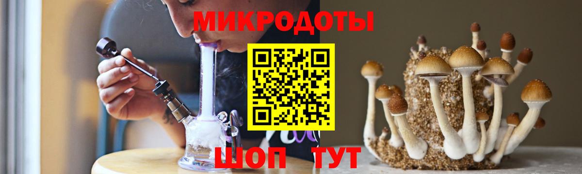 Псилоцибиновые грибы прущие грибы Елабуга