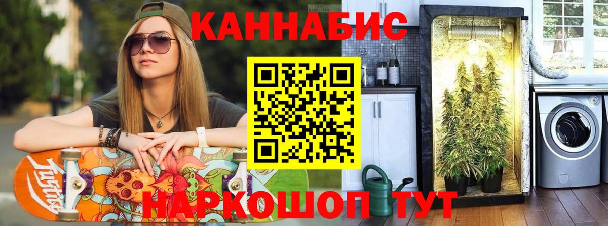 Марихуана семена  Канабис OG Kush  Елабуга  Шишки марихуана планчик  Вход с VPN 